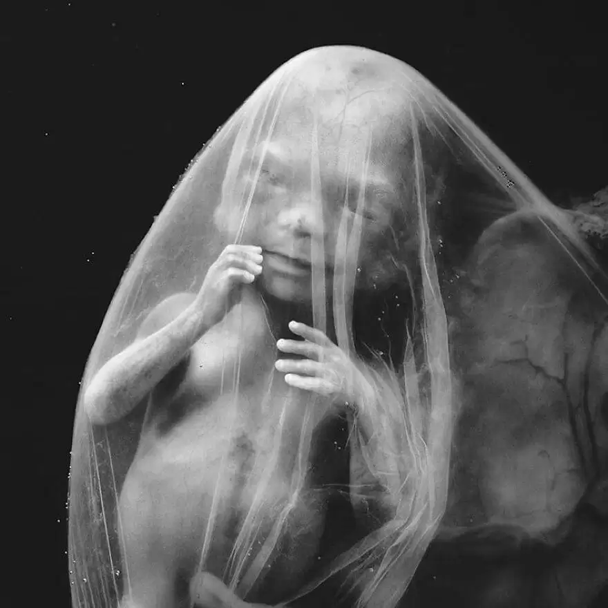 18 تصویر اعجاب برانگیز از روند کامل شدن جنین
