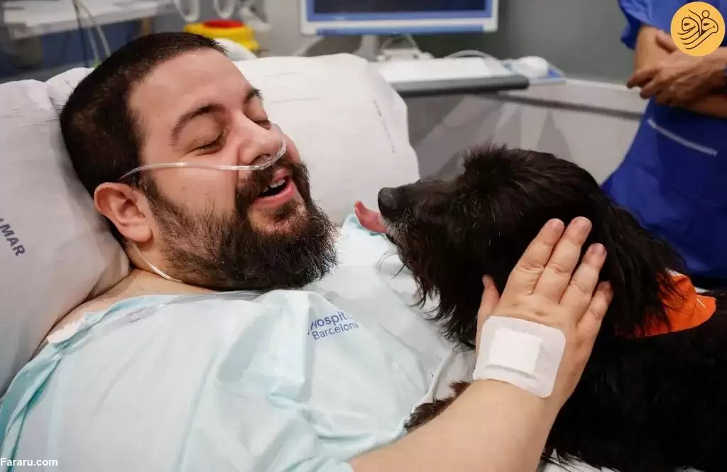 (ویدئو) سگ های درمانگر