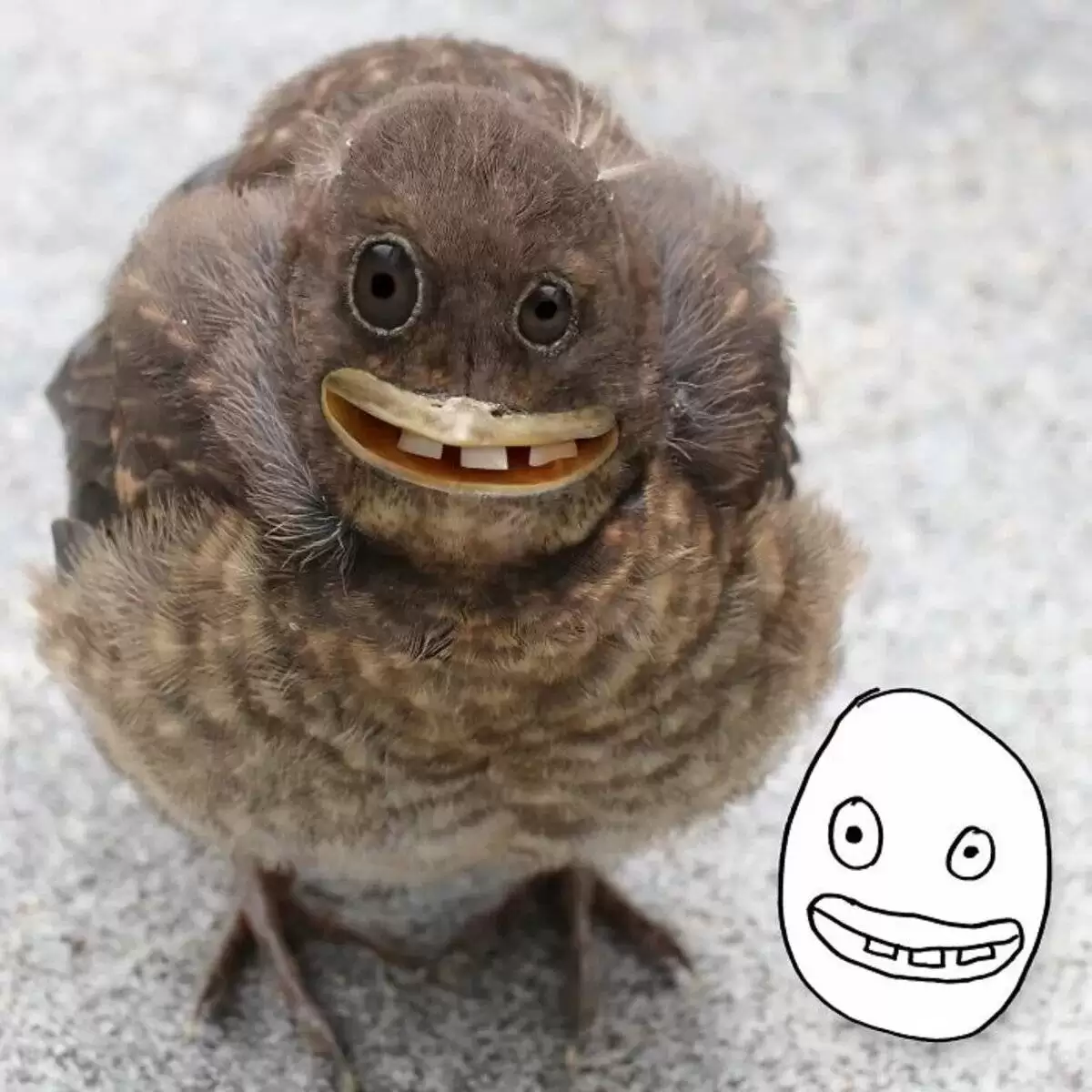 (تصاویر) اگر نقاشی کودکان واقعیت داشتند