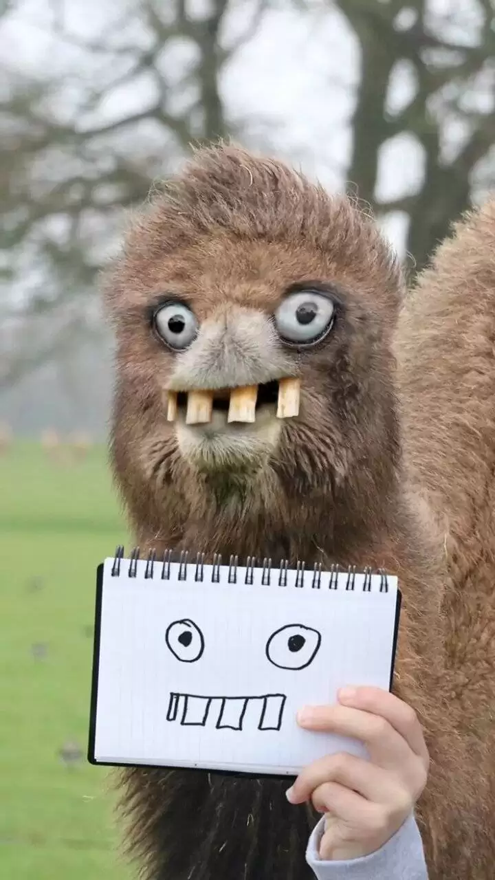 (تصاویر) اگر نقاشی کودکان واقعیت داشتند