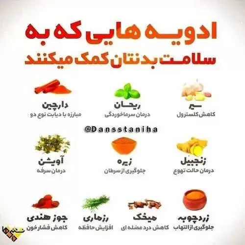خواص درمانی ادویه ها 