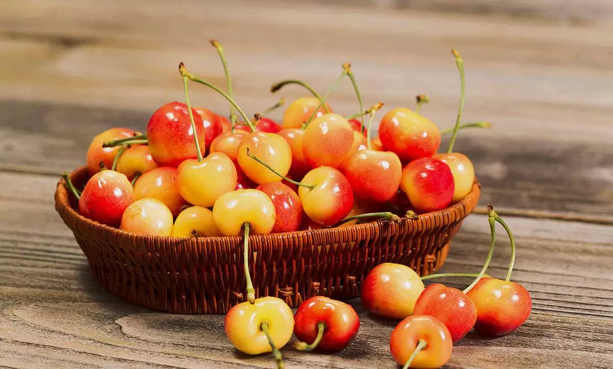 عکس از میوه های تابستانی