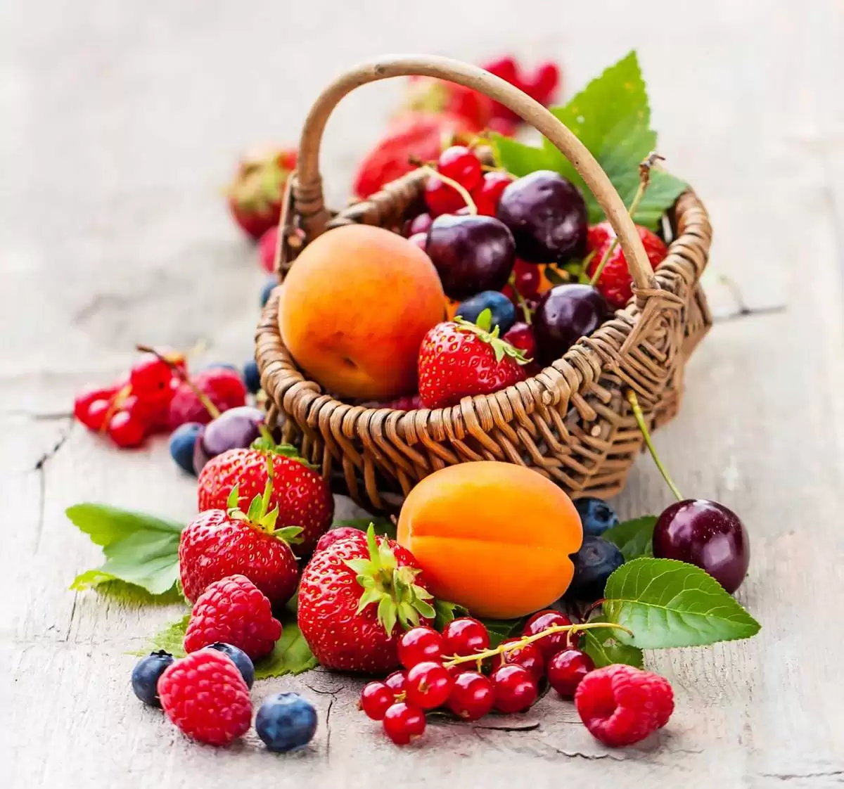 عکس از میوه های تابستانی