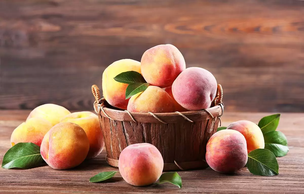 عکس از میوه های تابستانی