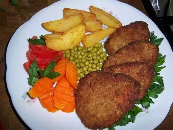 طرز تهیه انواع شامی و کتلت