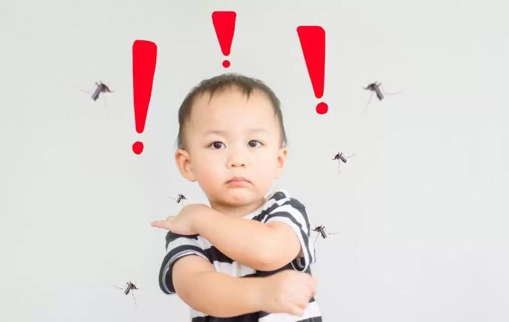 تمام حقایق درباره ی پشه آئدس و تب دنگی از زبان سازمان بهداشت جهانی