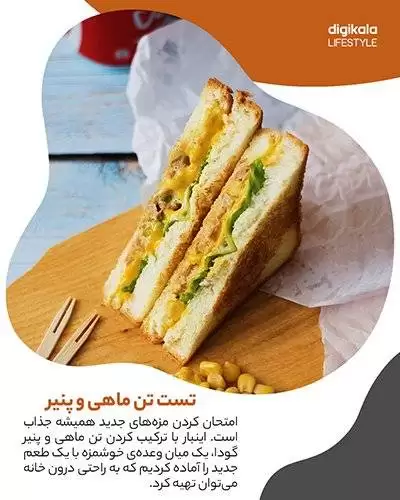(تصاویر) طرز تهیه تست تن ماهی و پنیر؛ یک غذای ساده، سریع، خوشمزه