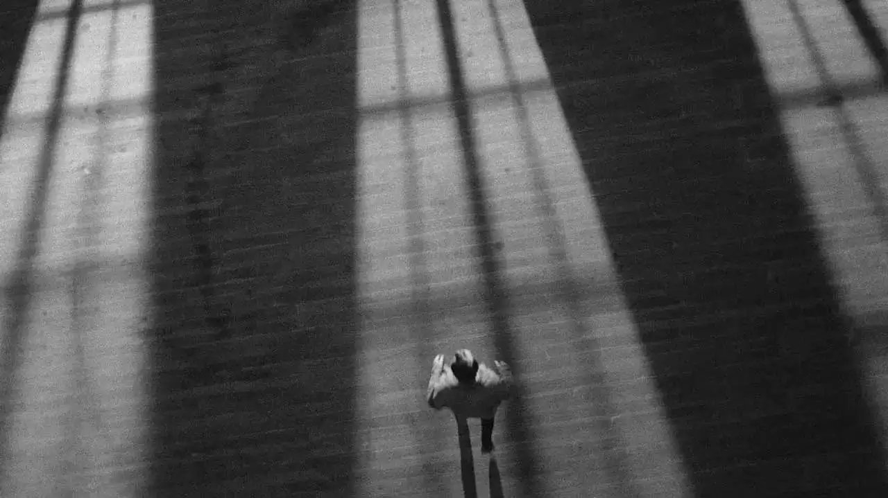 بهترین فیلم های جزیره ای؛ از کینگ کونگ تا دورافتاده