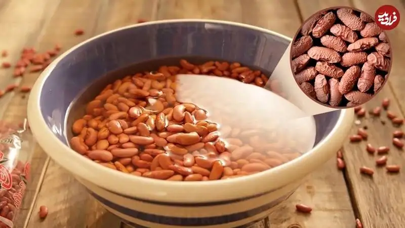 خیساندن لوبیا چه فایده ای دارد و چطور می توان این کار را سریع تر انجام داد؟