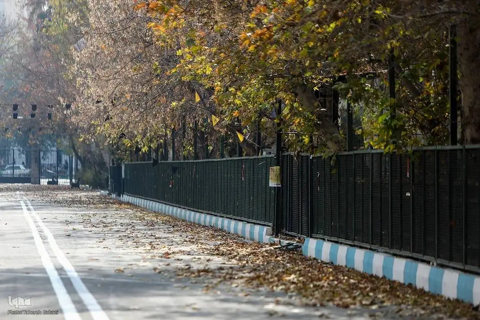 (تصاویر) آخرین روزهای برگ ریزان پاییزی در دانشگاه تهران