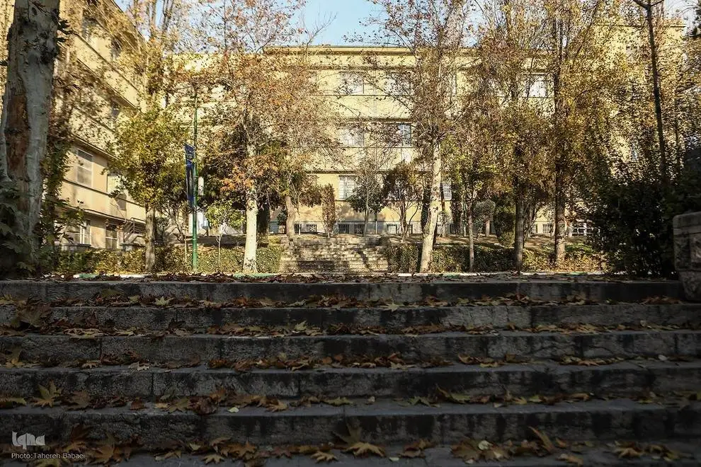 (تصاویر) آخرین روزهای برگ ریزان پاییزی در دانشگاه تهران