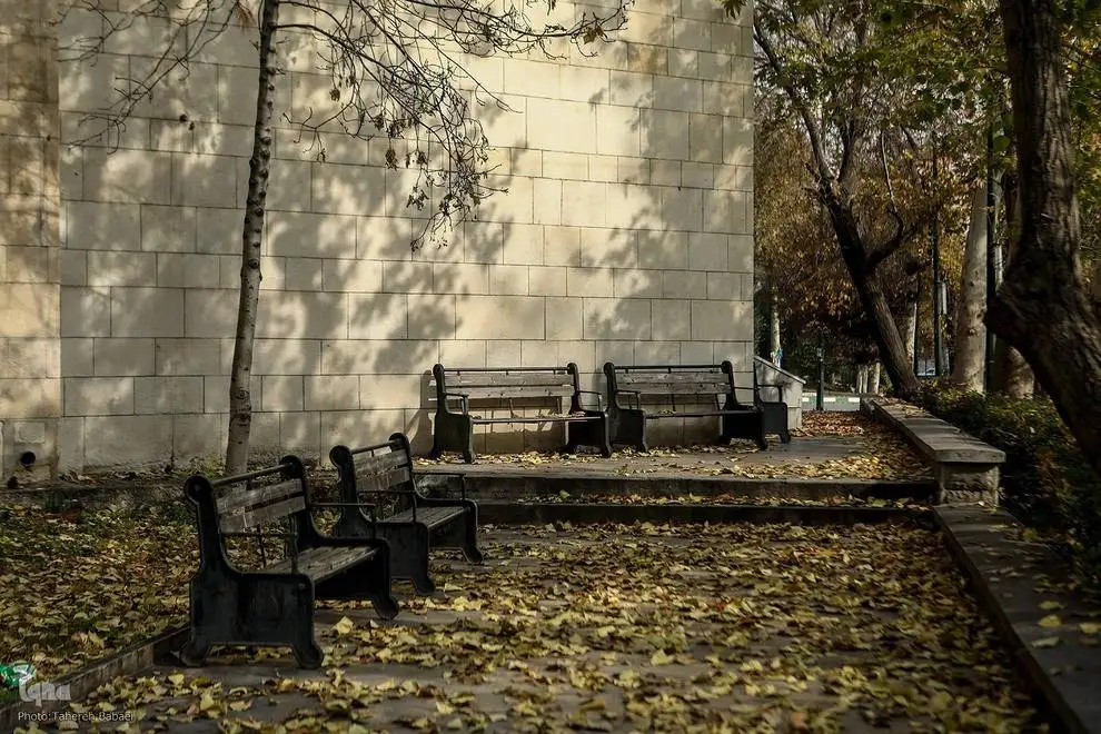(تصاویر) آخرین روزهای برگ ریزان پاییزی در دانشگاه تهران