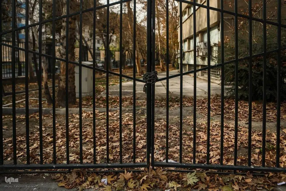 (تصاویر) آخرین روزهای برگ ریزان پاییزی در دانشگاه تهران