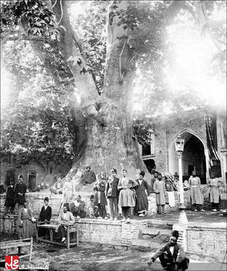 (عکس) سفر به تهران قدیم؛ تصویری بسیار قدیمی از امامزاده صالح(ع)؛ کهنسال ترین چنار شمیران به روایت سیاحان خارجی