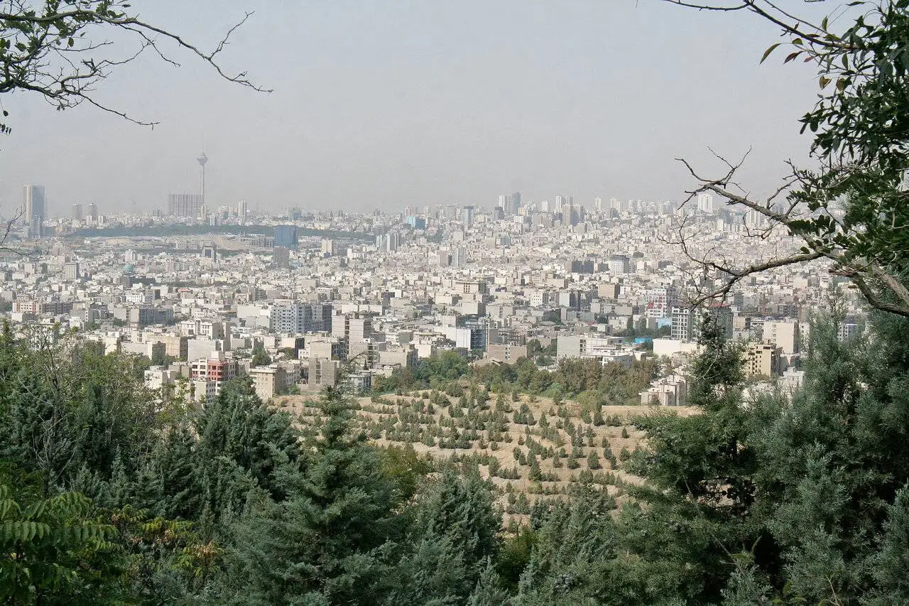 ( عکس) سفر به تهران قدیم؛ رمزگشایی از نام قدیمی ترین جنگل های مصنوعی پایتخت