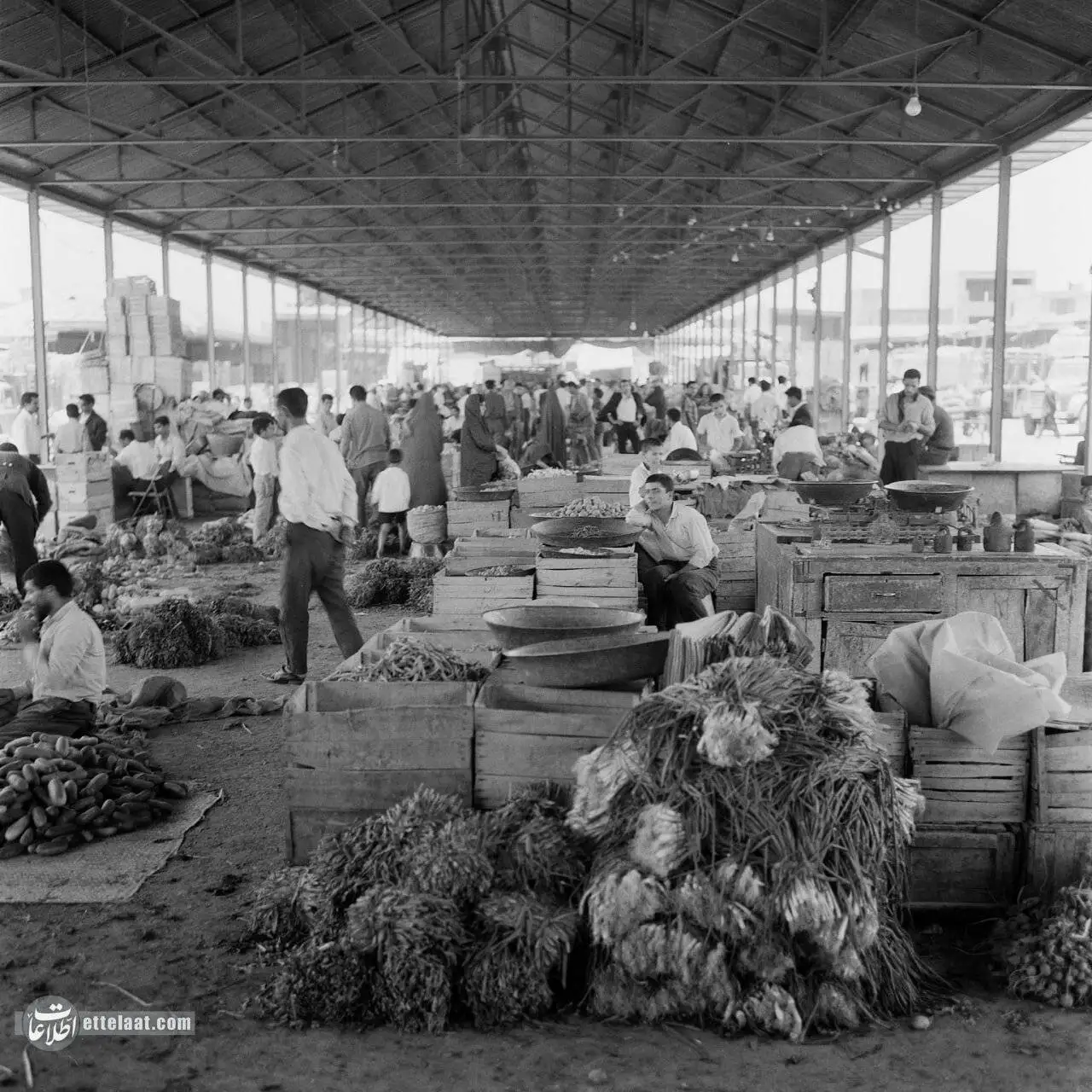 عکس؛ سفر به تهران قدیم؛ 60 سال پیش در میدان های میوه و تره بار تهران چه خبر بود؟