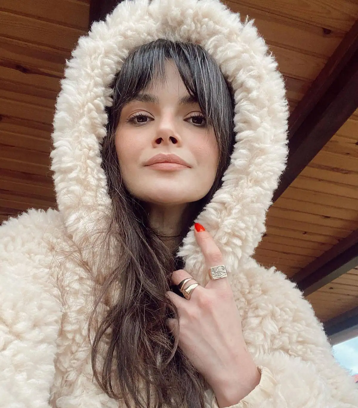 بیوگرافی سینم اونسال