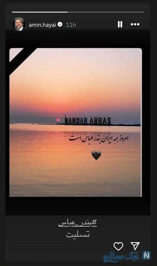 واکنش بزرگان هنر به حادثه تلخ بندرعباس / از تهمینه میلانی و احترام برومند تا گوهر خیراندیش و امین حیایی با سعید روستایی
