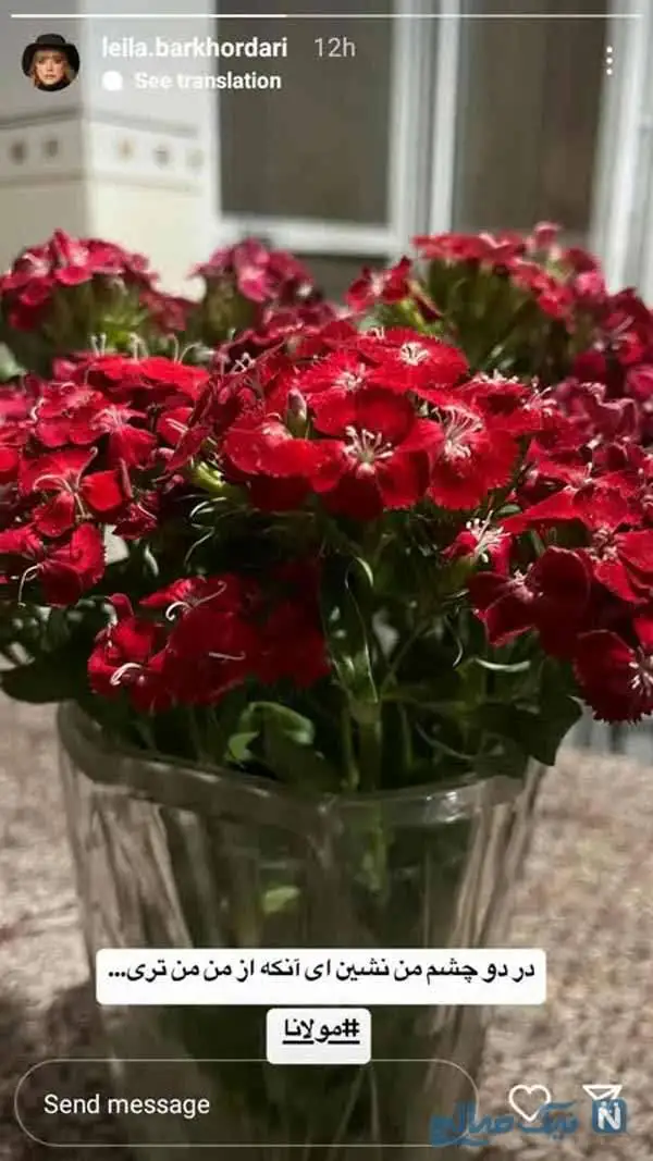 حواشی چهره در روزهای پایانی هفته | عکس جدید دختر مهسا طهماسبی؛ تبریک لادن سلیمانی به دخترش هانیه غلامی؛ استایل جدید دارا حیایی؛ پست جدید مینا دلشاد؛ شاهد احمدلو و دخترش؛ روز دختر مهسا هاشمی