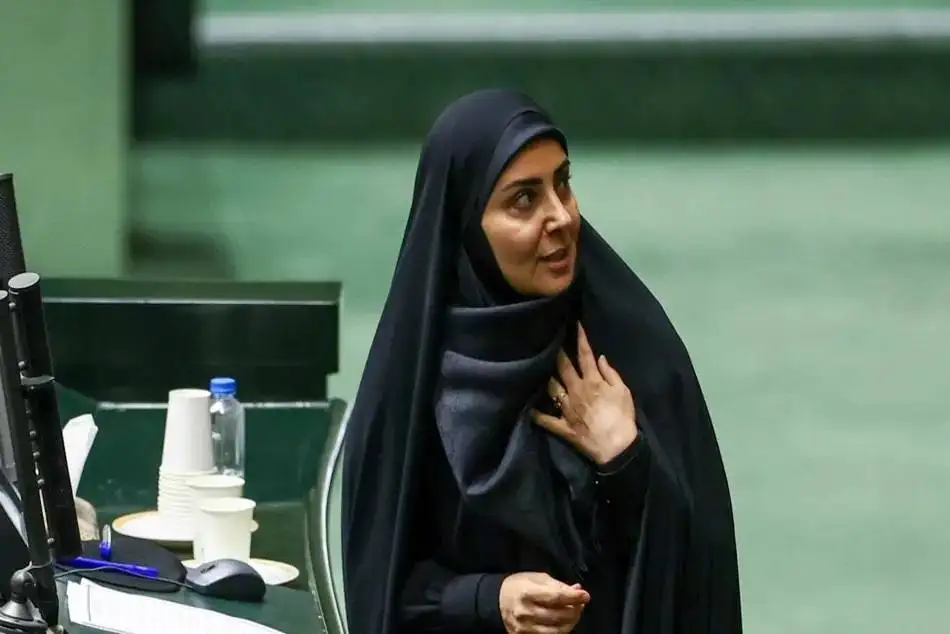 فرزانه خانم، آن ویدیو پوست موز بود که شما را زمین زد