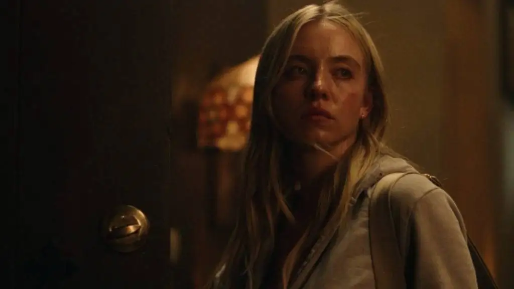 تصاویر؛ عکس های  شخصی، زندگی خصوصی و بیوگرافی سیدنی سوئینی