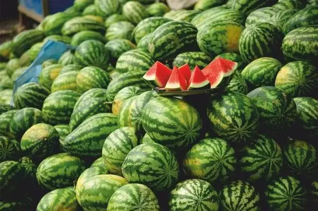 پشت پرده تهمت یک روس به هندوانه های ایرانی