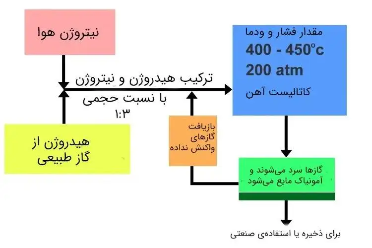 تصاویر؛ پیوند کوانتوم با هوش مصنوعی؛ سلاح مخفی گوگل برای رهبری تکنولوژی آینده