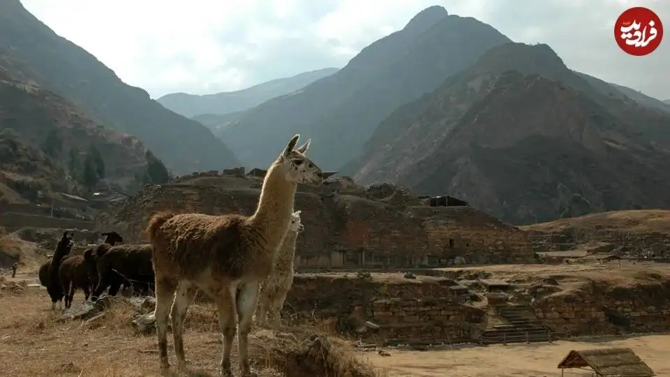 مردمان یک تمدن باستانی در این اتاق مخفی «مواد روانگردان» مصرف می کردند
