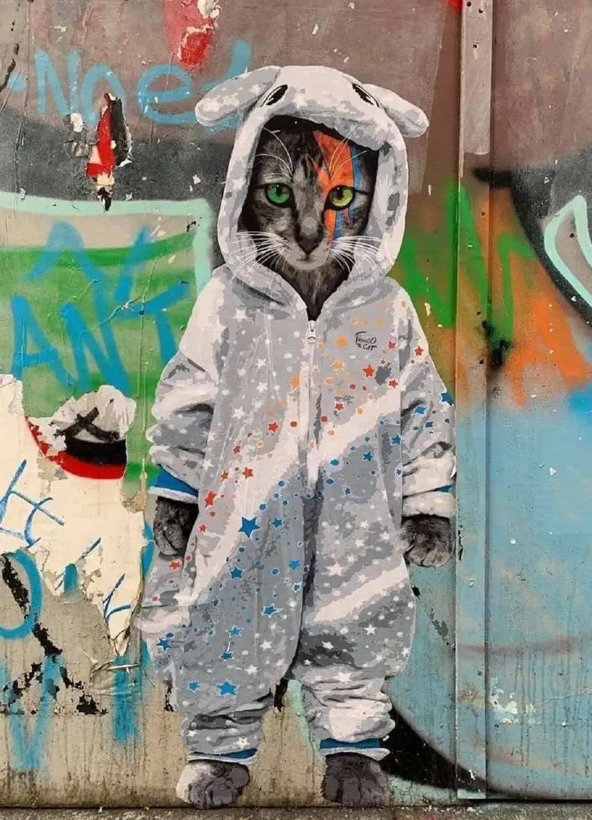 تصاویر؛  هنر خیابانی؛ 10 اثر هنری خلاقانه که جاذبۀ جادویی «گربه ها» را به تصویر کشیده اند