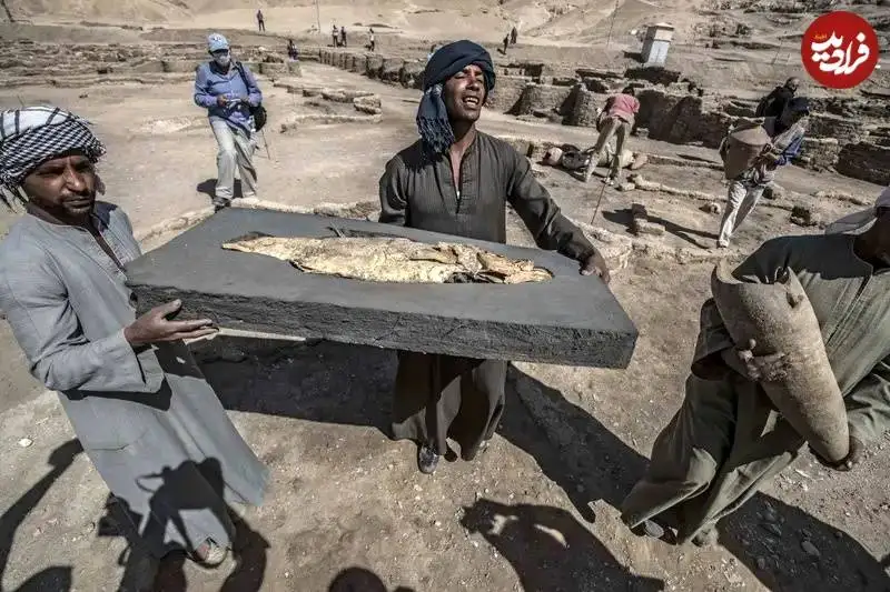 کشف «ماهی طلایی» و «مقبرۀ عجیب گاو» در شهر گمشدۀ مصر باستان