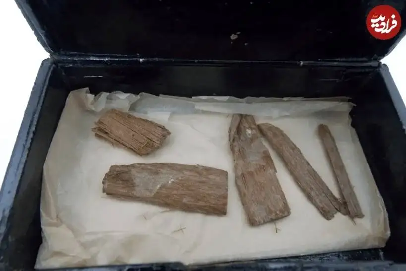 «چوب 5 هزارسالۀ مصری» در یک «قوطی سیگار» در اسکاتلند پیدا شد