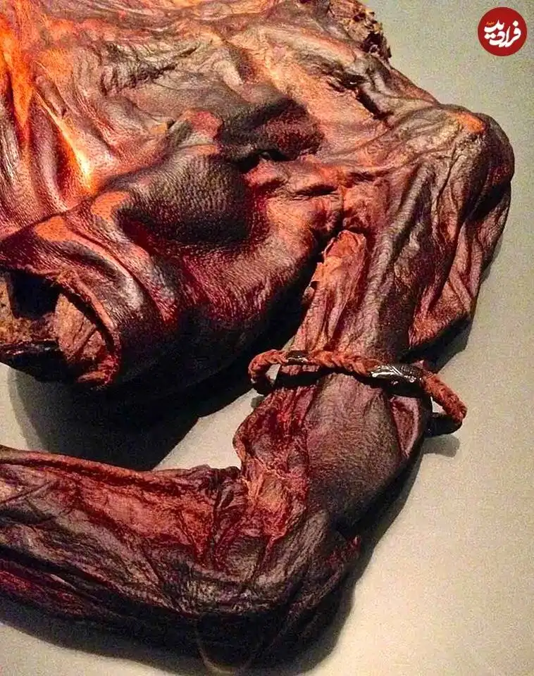 مشهورترین «مومیایی های مرداب» و رازهایی که از دوران باستان فاش می کنند