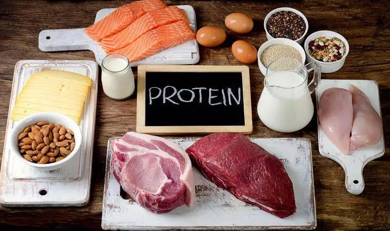 رژیم های پُرپروتئین چه بلایی سر روده شما می آورند؟