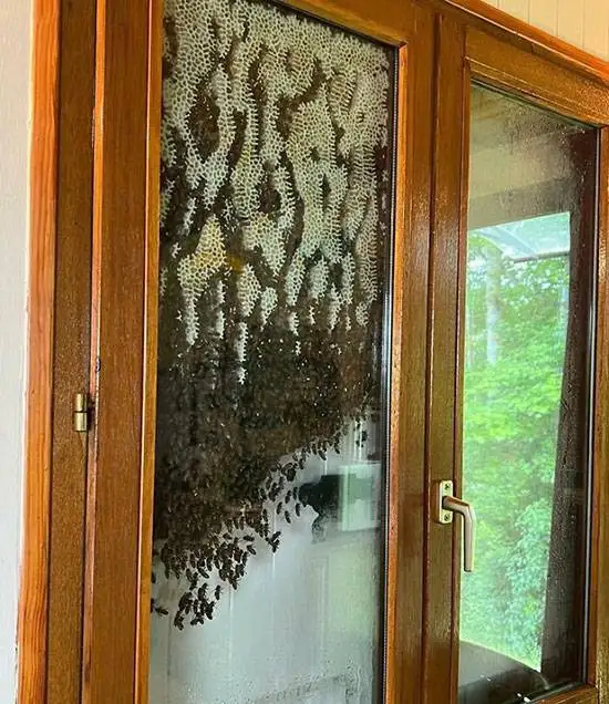 30 موجود ترسناک و چندش آور که نمی توانید از آن ها چشم بردارید