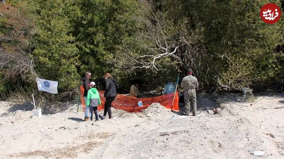 پسربچه 10  ساله کشتی 200 ساله را با استفاده از «هدیۀ تولدش» کشف کرد