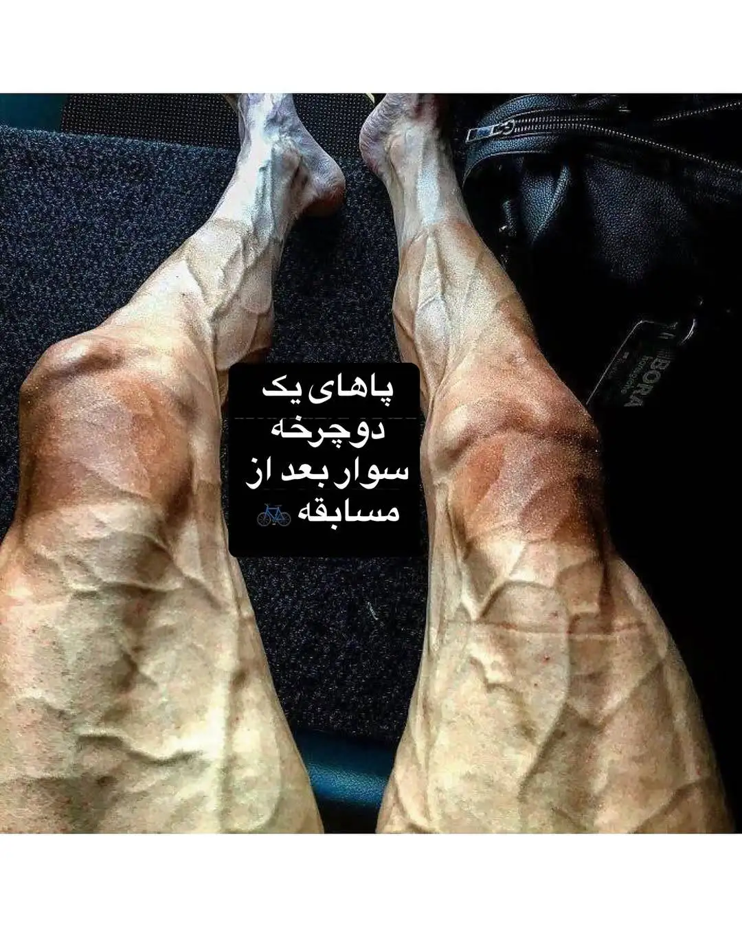 تصاویری جالب و دیدنی که هرگز تا به حال ندیده اید!