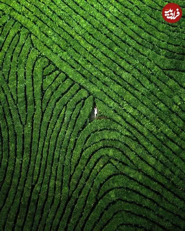 تصاویر؛ شاهکارهای خلاقانۀ عکاس روس که زیبایی های جهان را با «پهپاد» به تصویر می کشد