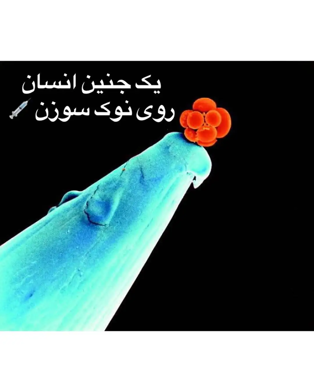 تصاویری جالب و دیدنی که هرگز تا به حال ندیده اید!