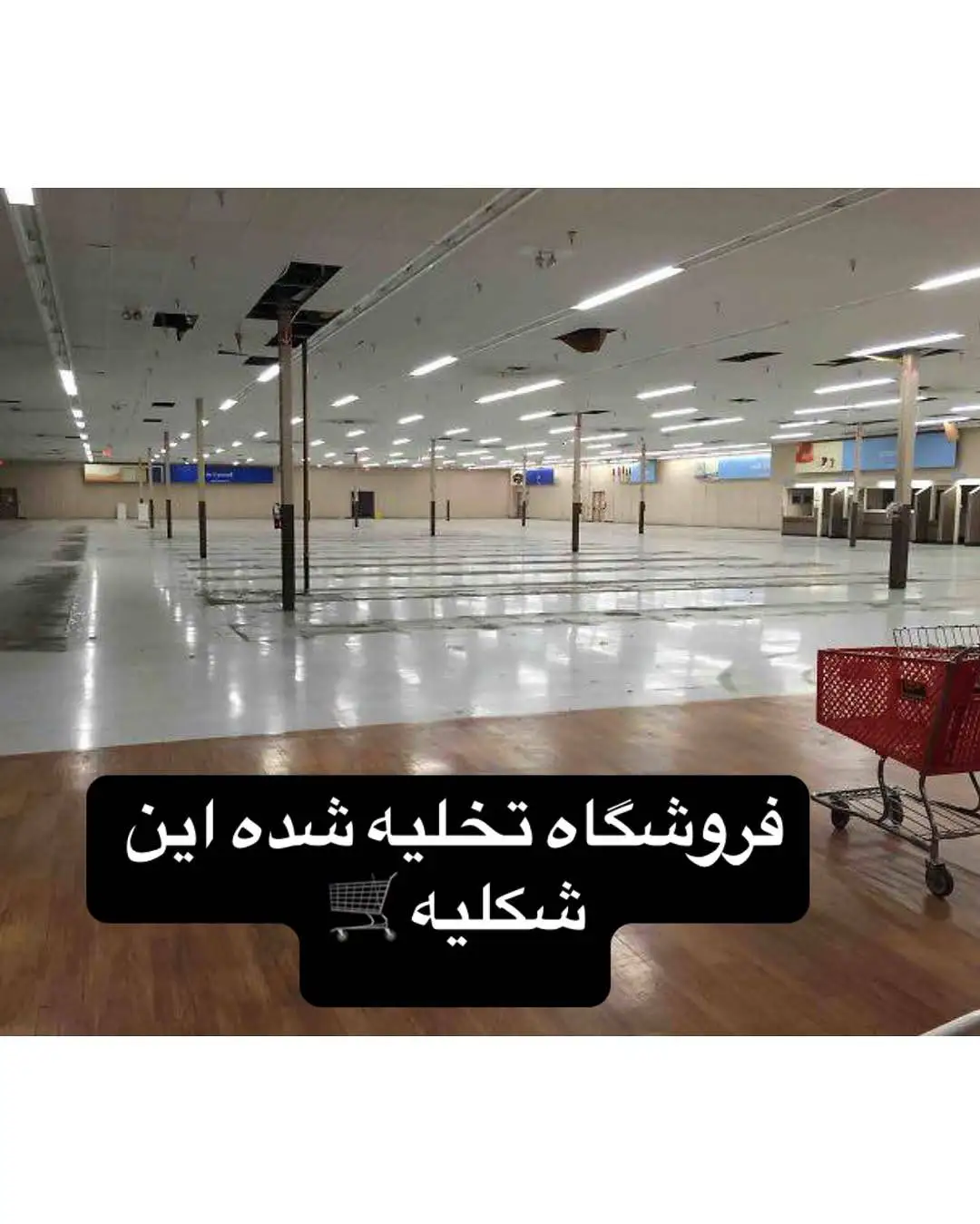 تصاویری جالب و دیدنی که هرگز تا به حال ندیده اید!