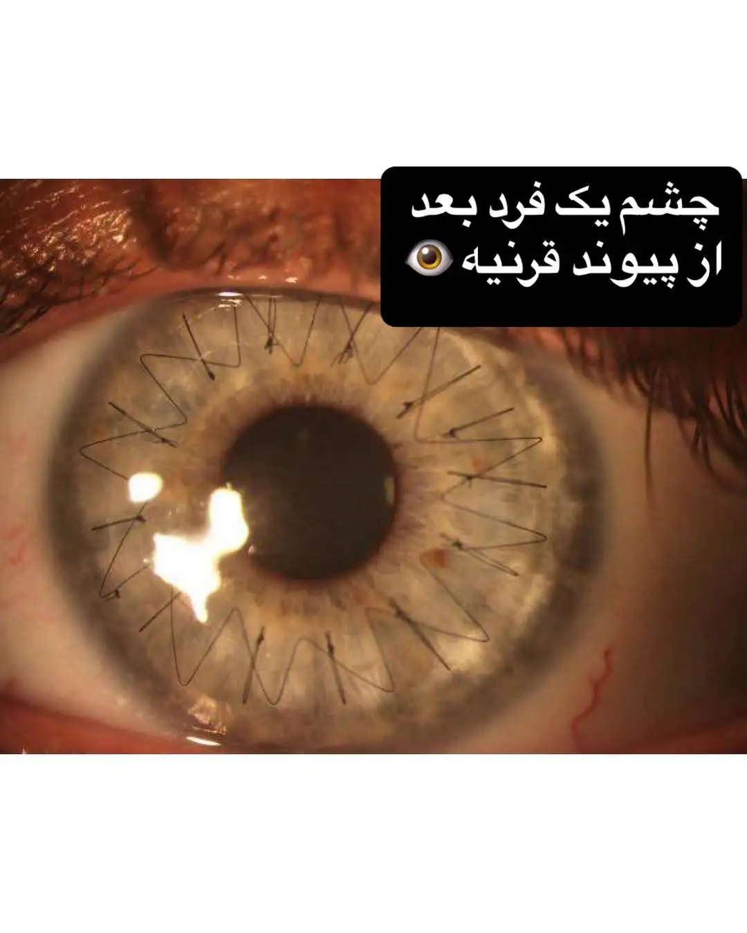 تصاویری جالب و دیدنی که هرگز تا به حال ندیده اید!