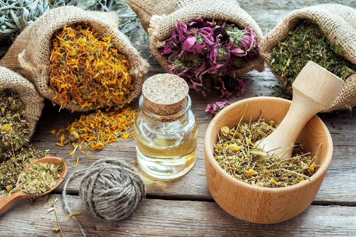 نسخه گیاهی برای ریزش مو؛ آیا واقعاً موثرند؟
