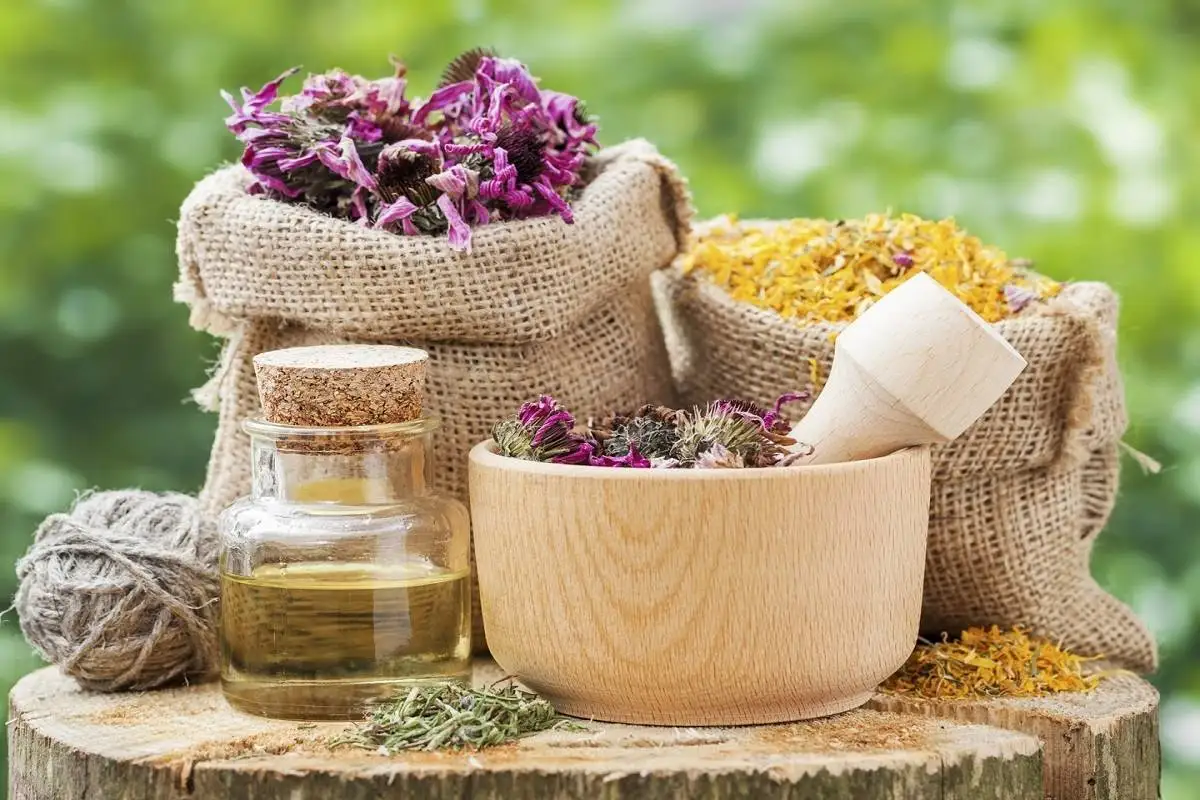 نسخه گیاهی برای ریزش مو؛ آیا واقعاً موثرند؟