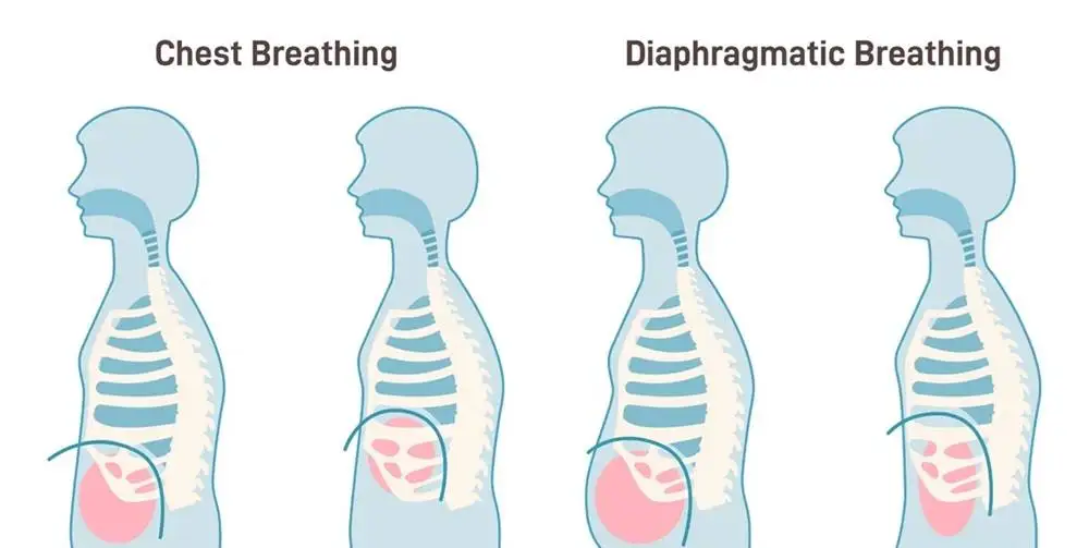 چرا باید شکل «نَفَس کشیدن مان» را عوض کنیم؟