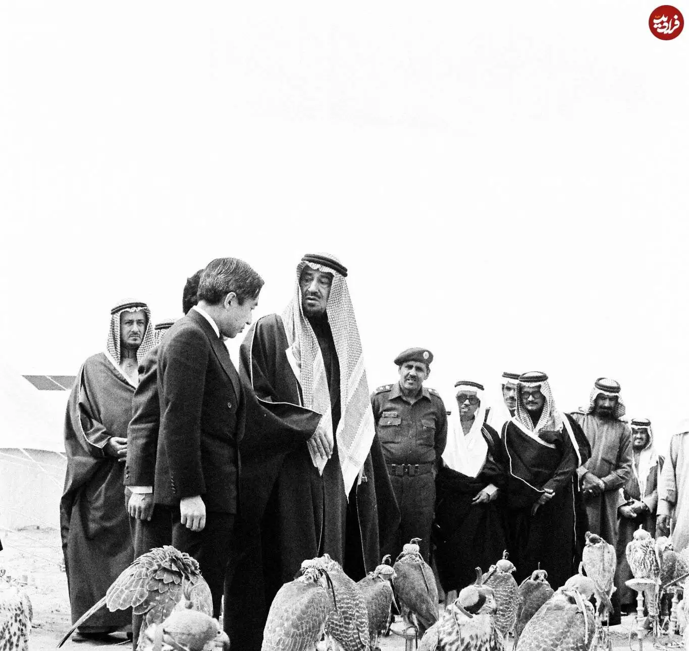 عکس؛ سفر در زمان؛ «پادشاه عربستان در حال نشان دادن شاهین هایش به امپراتور ژاپن»؛ سال 1359