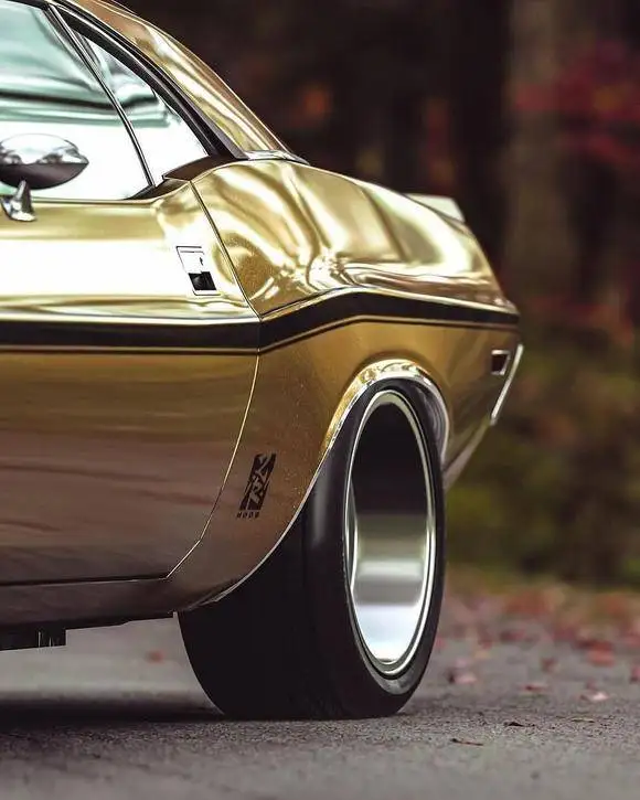 تصاویر؛ چلنجر 1970؛ زیبایی ببینیم