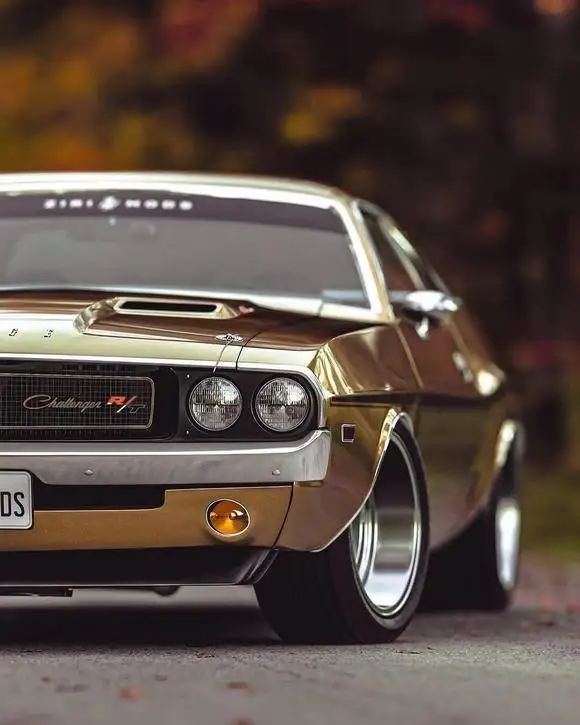 تصاویر؛ چلنجر 1970؛ زیبایی ببینیم