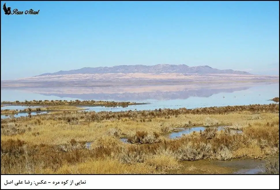 تصاویر؛ دره غول ها در راه قم