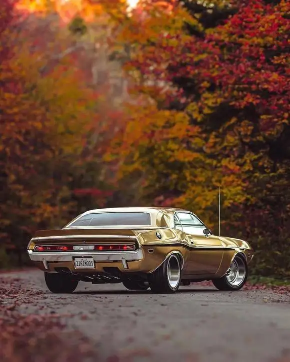 تصاویر؛ چلنجر 1970؛ زیبایی ببینیم