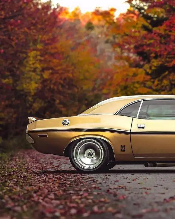 تصاویر؛ چلنجر 1970؛ زیبایی ببینیم