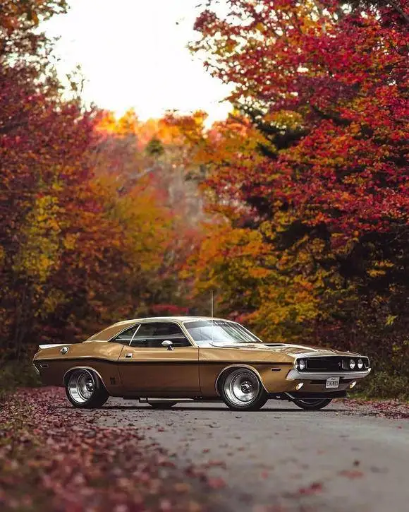 تصاویر؛ چلنجر 1970؛ زیبایی ببینیم